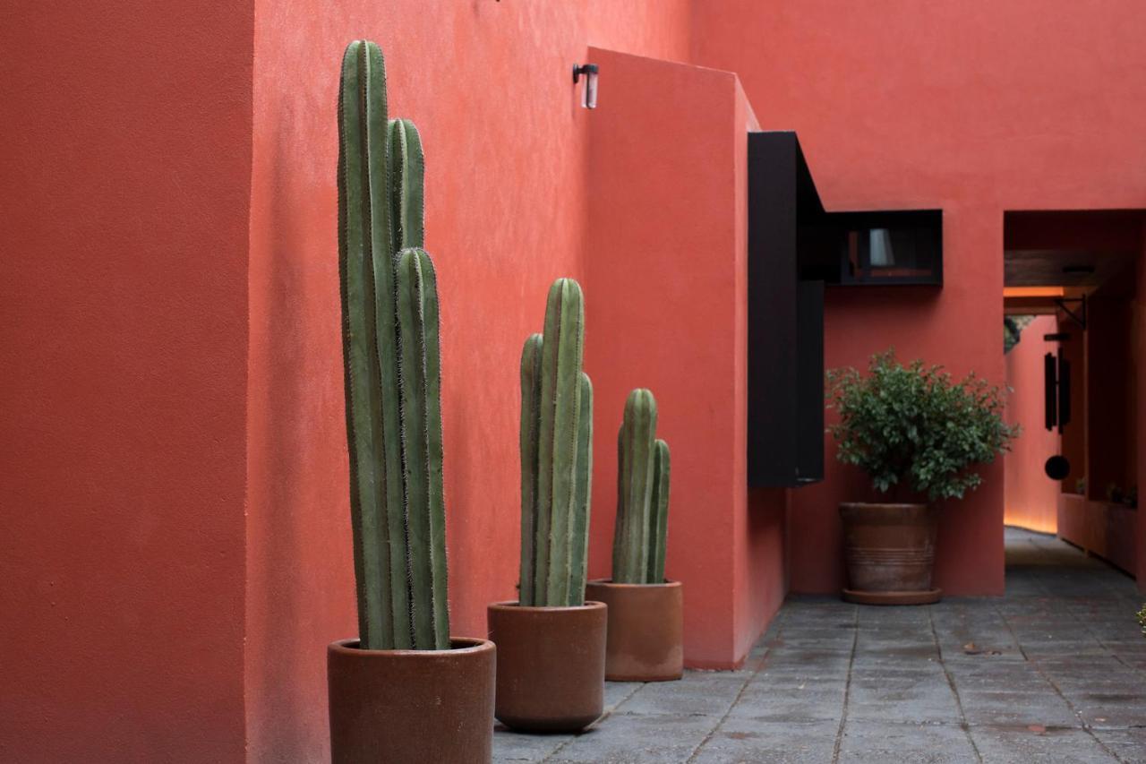 Tonalli Casa Boutique Ciudad de México Exteriér fotografie